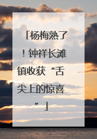 杨梅熟了！钟祥长滩镇收获“舌尖上的惊喜”