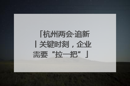 杭州两会·追新丨关键时刻，企业需要“拉一把”
