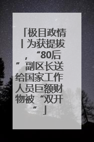 极目政情丨为获提拔，“80后”副区长送给国家工作人员巨额财物被“双开”