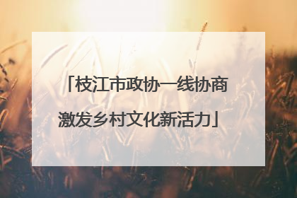 枝江市政协一线协商激发乡村文化新活力