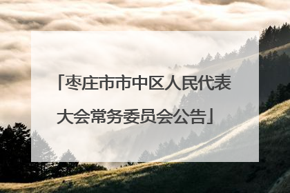 枣庄市市中区人民代表大会常务委员会公告