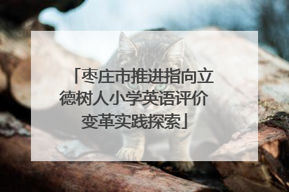 枣庄市推进指向立德树人小学英语评价变革实践探索
