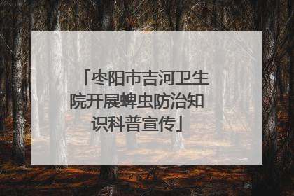 枣阳市吉河卫生院开展蜱虫防治知识科普宣传