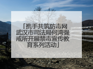 携手共筑防毒网 武汉市司法局何湾强戒所开展禁毒宣传教育系列活动
