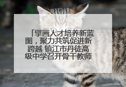 擘画人才培养新蓝图，聚力共筑促进新跨越 镇江市丹徒高级中学召开骨干教师培养大会