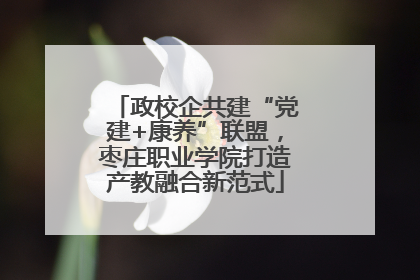 政校企共建“党建+康养”联盟，枣庄职业学院打造产教融合新范式
