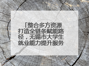 整合多方资源 打造全链条赋能路径，无锡市大学生就业能力提升服务季收官
