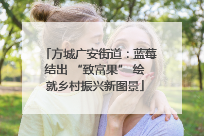 方城广安街道：蓝莓结出 “致富果” 绘就乡村振兴新图景