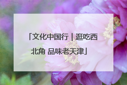 文化中国行｜逛吃西北角 品味老天津