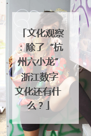 文化观察：除了“杭州六小龙” 浙江数字文化还有什么？