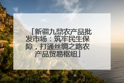 新疆九鼎农产品批发市场：筑牢民生保障，打通丝绸之路农产品贸易枢纽