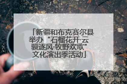 新疆和布克赛尔县举办“石榴花开·云骥逐风·牧野欢歌”文化演出季活动