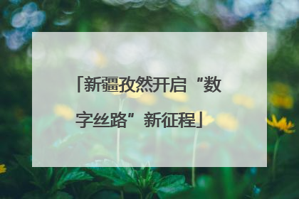 新疆孜然开启“数字丝路”新征程