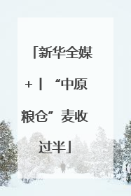 新华全媒+丨“中原粮仓”麦收过半
