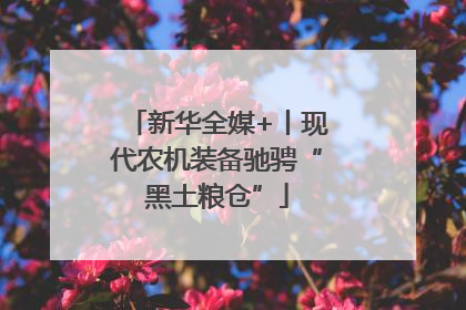 新华全媒+丨现代农机装备驰骋“黑土粮仓”