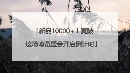 新品10000+！黄陂这场博览盛会开启倒计时