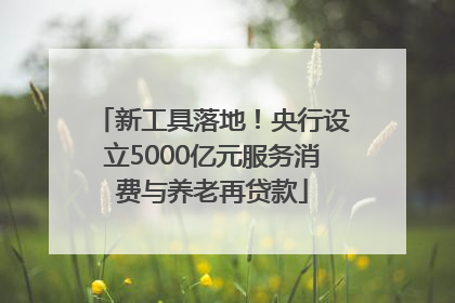 新工具落地！央行设立5000亿元服务消费与养老再贷款