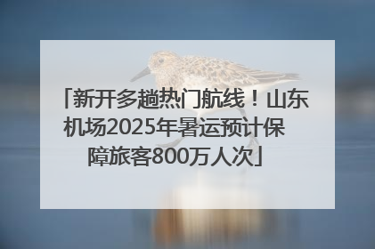 新开多趟热门航线！山东机场2025年暑运预计保障旅客800万人次