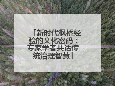 新时代枫桥经验的文化密码：专家学者共话传统治理智慧