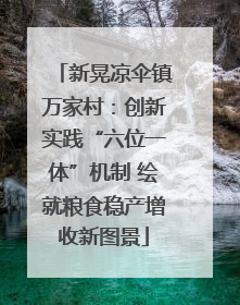 新晃凉伞镇万家村：创新实践“六位一体”机制 绘就粮食稳产增收新图景