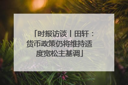 时报访谈丨田轩：货币政策仍将维持适度宽松主基调