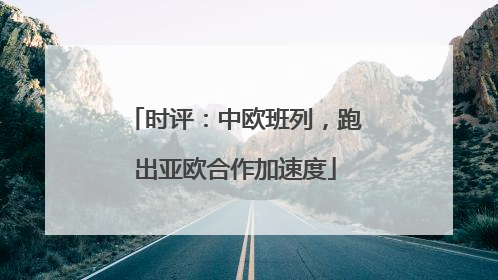 时评：中欧班列，跑出亚欧合作加速度