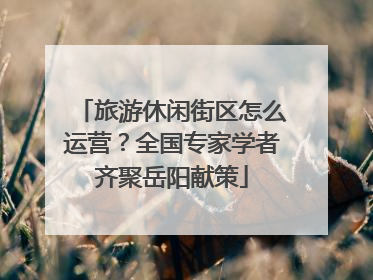 旅游休闲街区怎么运营？全国专家学者齐聚岳阳献策