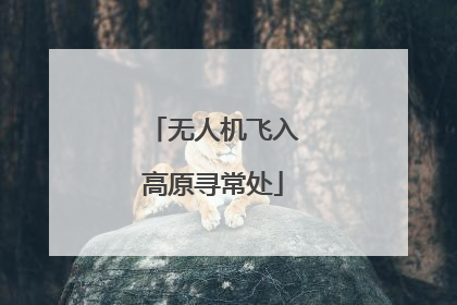 无人机飞入高原寻常处