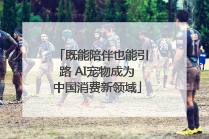 既能陪伴也能引路 AI宠物成为中国消费新领域