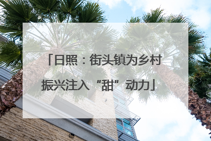 日照：街头镇为乡村振兴注入“甜”动力
