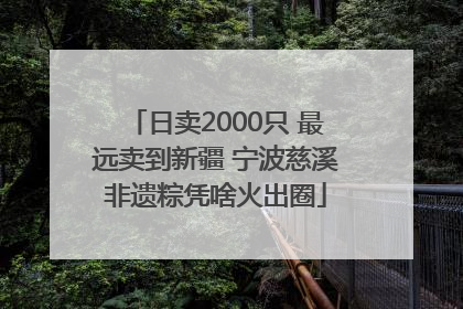 日卖2000只 最远卖到新疆 宁波慈溪非遗粽凭啥火出圈