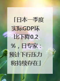 日本一季度实际GDP环比下降0.2%，日专家：预计下行压力将持续存在