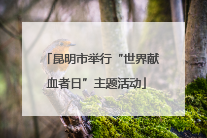 昆明市举行“世界献血者日”主题活动