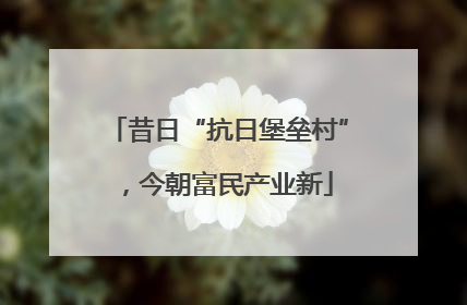 昔日“抗日堡垒村”，今朝富民产业新