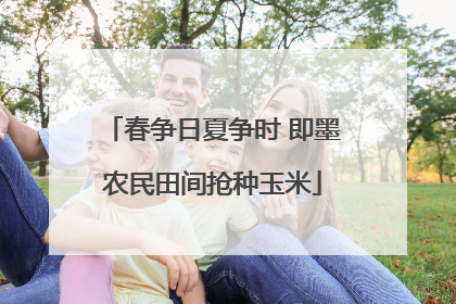 春争日夏争时 即墨农民田间抢种玉米