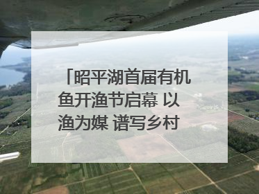 昭平湖首届有机鱼开渔节启幕 以渔为媒 谱写乡村振兴新篇章