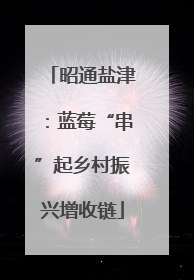 昭通盐津：蓝莓“串”起乡村振兴增收链