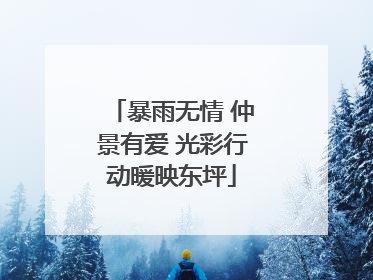 暴雨无情 仲景有爱 光彩行动暖映东坪