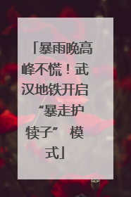 暴雨晚高峰不慌！武汉地铁开启 “暴走护犊子” 模式