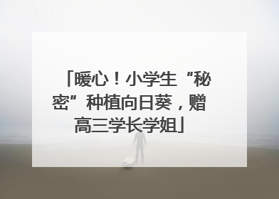 暖心！小学生“秘密”种植向日葵，赠高三学长学姐