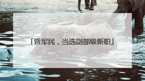 暨军民，当选副部级新职
