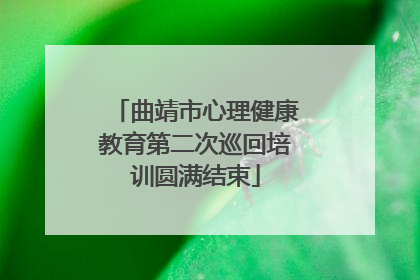 曲靖市心理健康教育第二次巡回培训圆满结束