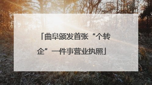 曲阜颁发首张“个转企”一件事营业执照