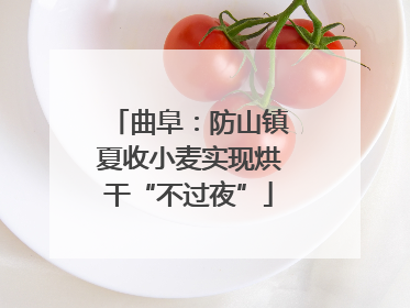 曲阜：防山镇夏收小麦实现烘干“不过夜”