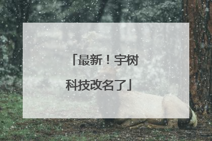 最新！宇树科技改名了