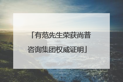 有范先生荣获尚普咨询集团权威证明