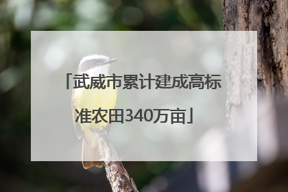 武威市累计建成高标准农田340万亩