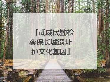 武威民勤检察保长城遗址护文化基因