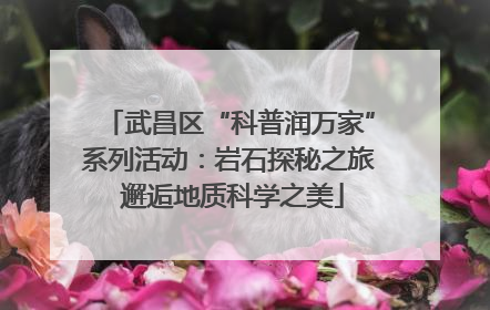 武昌区“科普润万家”系列活动：岩石探秘之旅 邂逅地质科学之美