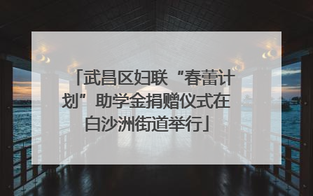 武昌区妇联“春蕾计划”助学金捐赠仪式在白沙洲街道举行